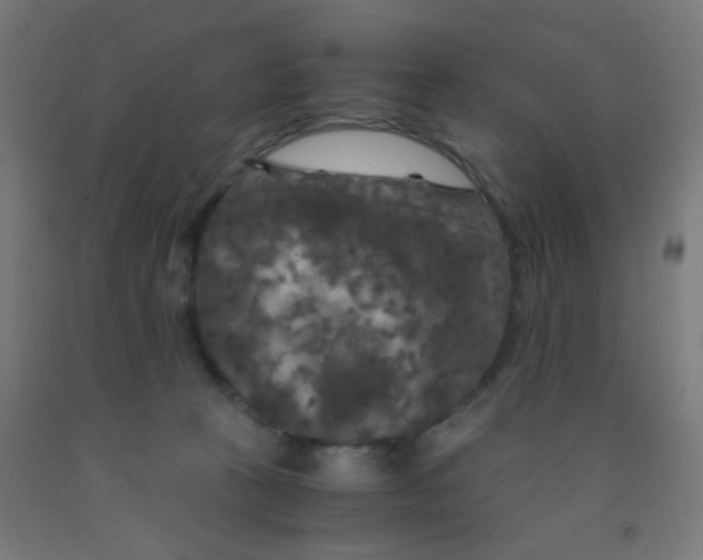 X0000092020273200709271555