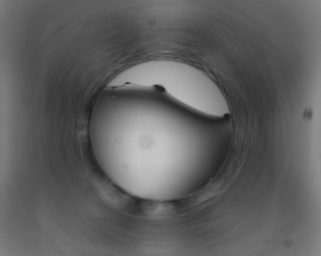 X0000092020274200709271555