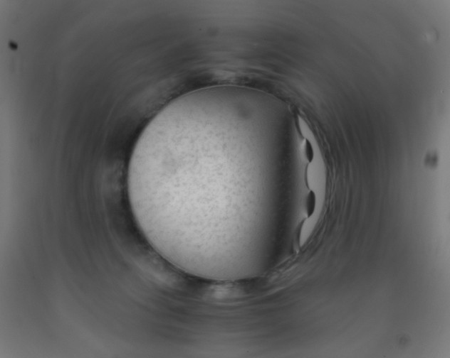 X0000092020275200709271555