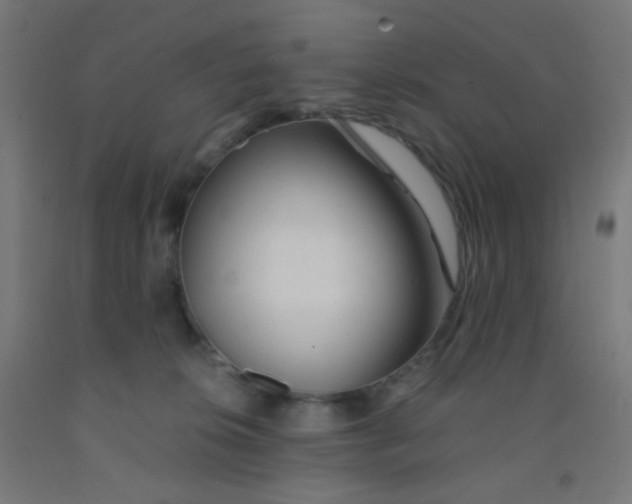 X0000092020276200709271555