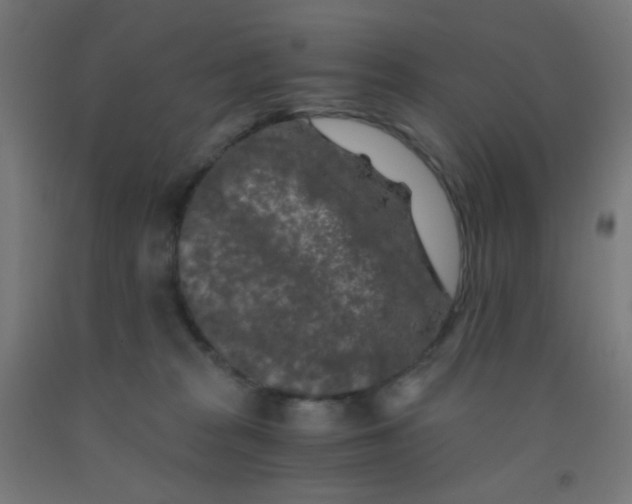 X0000092020277200709271555