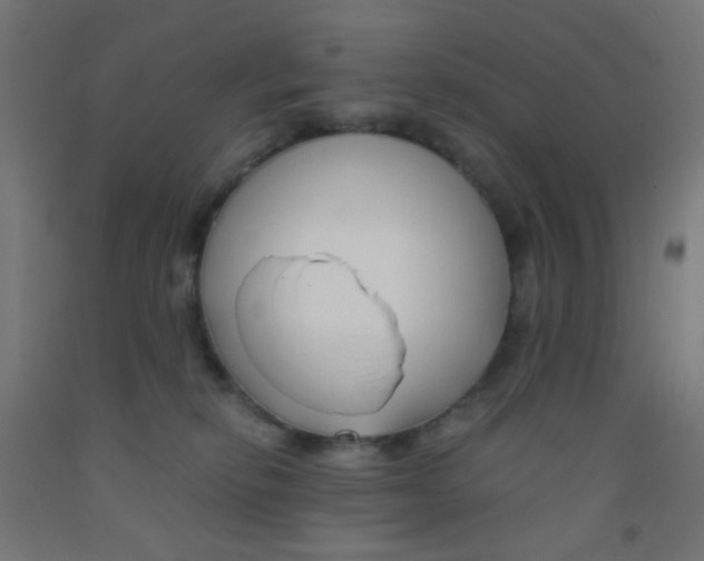 X0000092020278200709271555