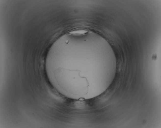 X0000092020279200709271555