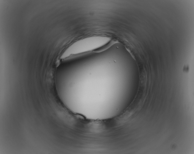 X0000092020280200709271555