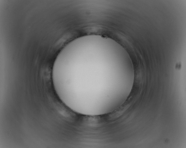 X0000092020282200709271555