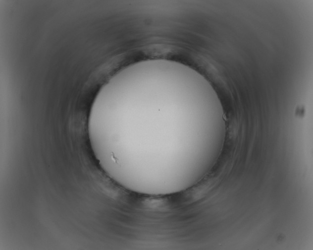 X0000092020283200709271555