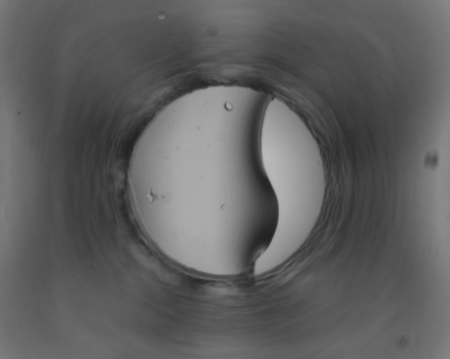 X0000092020284200709271555