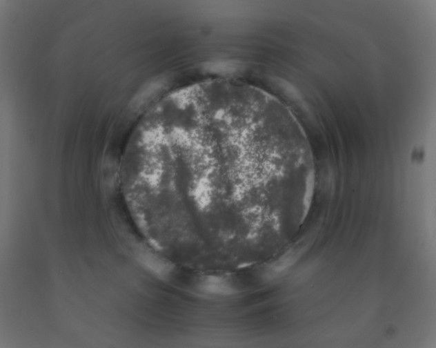 X0000092020285200709271555