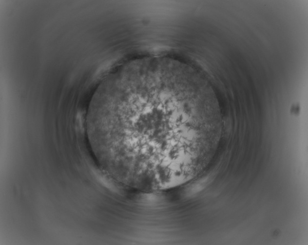 X0000092020286200709271555