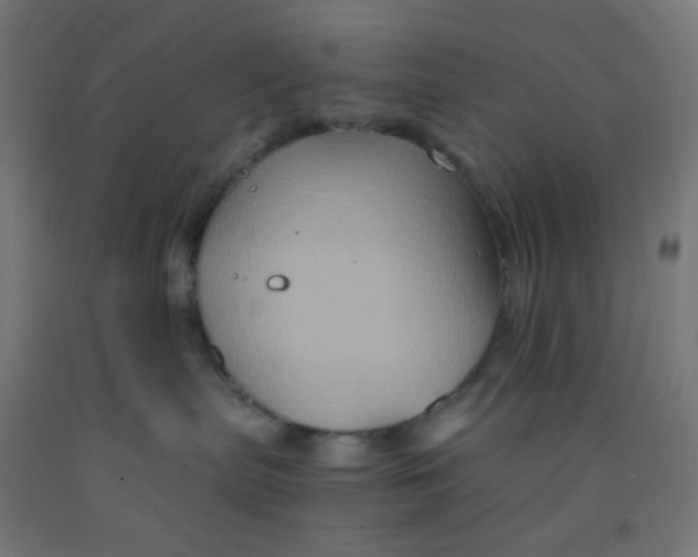 X0000092020287200709271555