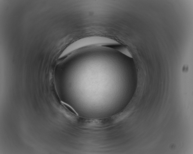 X0000092020288200709271555