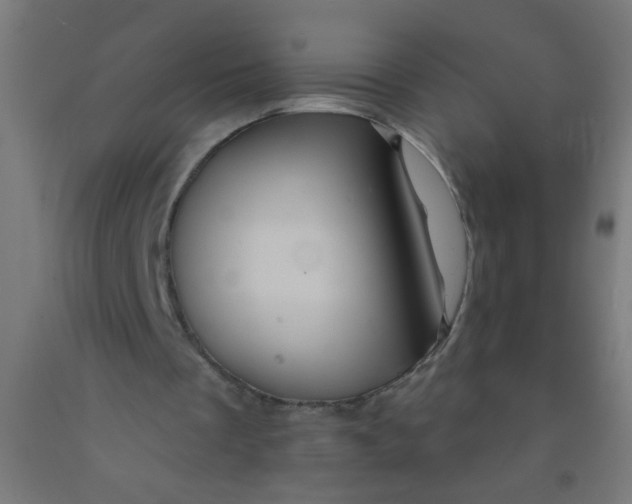 X0000092020289200709271555