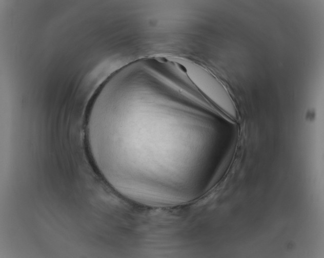 X0000092020290200709271555