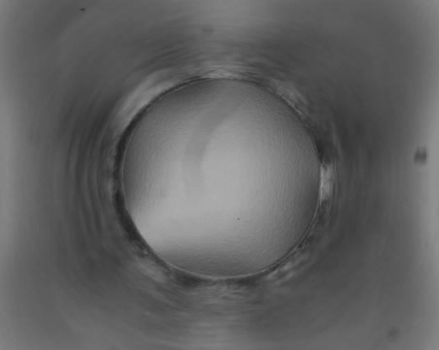 X0000092020291200709271555