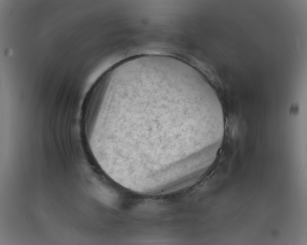 X0000092020292200709271555