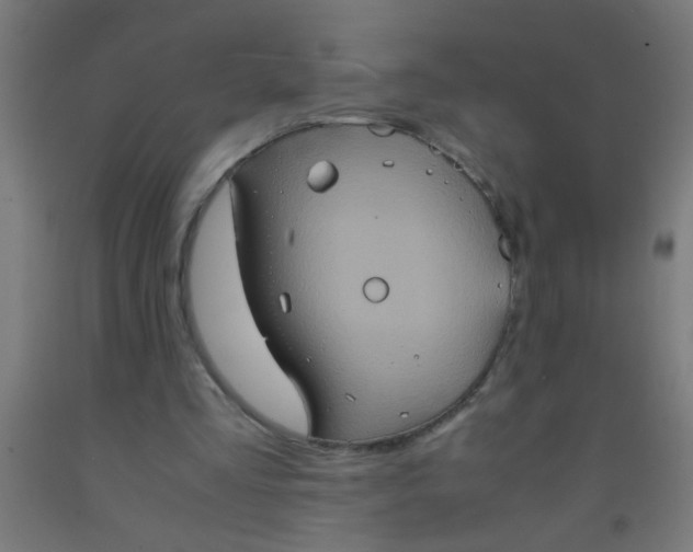 X0000092020293200709271555