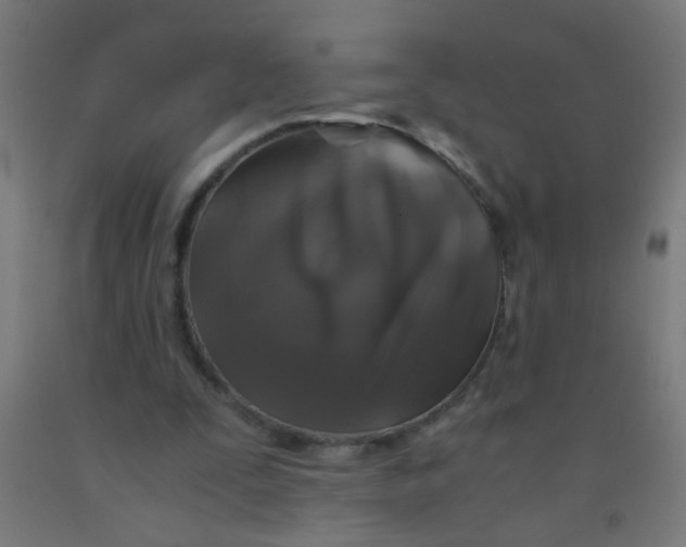 X0000092020295200709271555