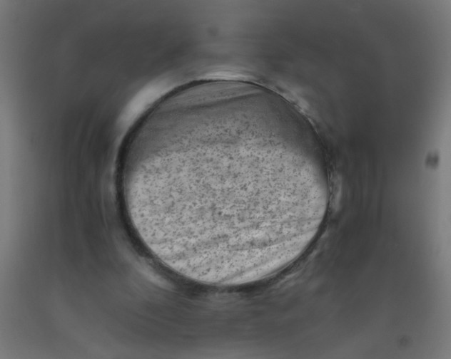 X0000092020296200709271555