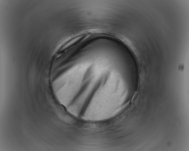 X0000092020297200709271555