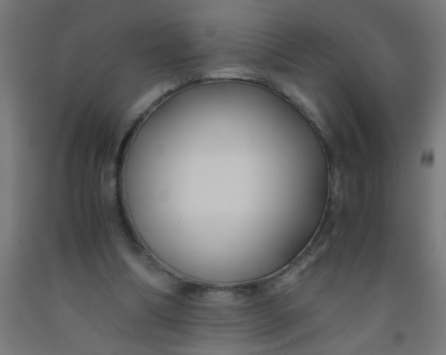 X0000092020298200709271555