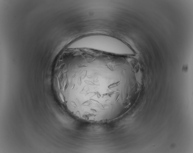 X0000092020299200709271555