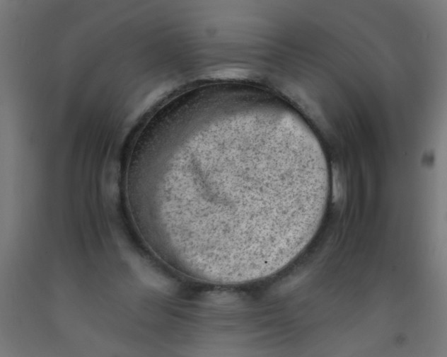 X0000092020300200709271555