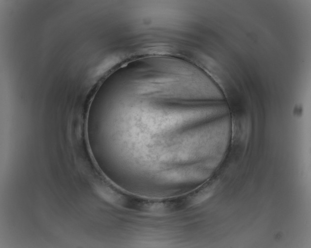 X0000092020301200709271555