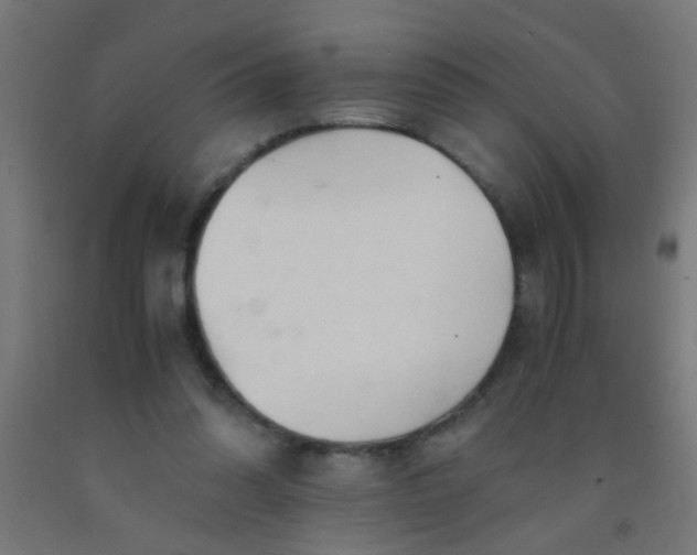 X0000092020302200709271555