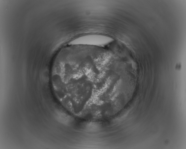 X0000092020303200709271554