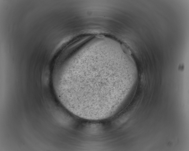 X0000092020304200709271554