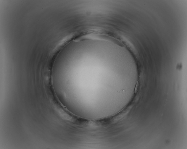 X0000092020305200709271554