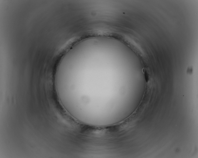 X0000092020306200709271554