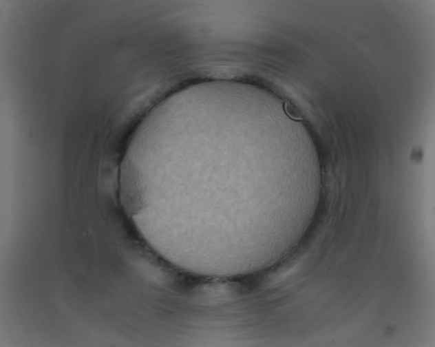 X0000092020307200709271554