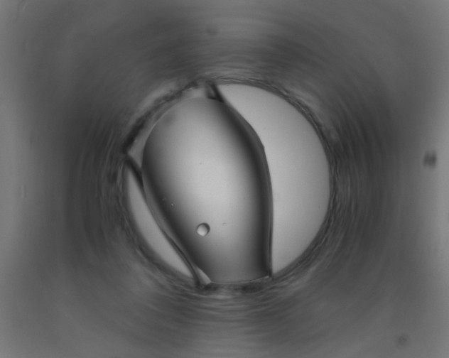 X0000092020308200709271554