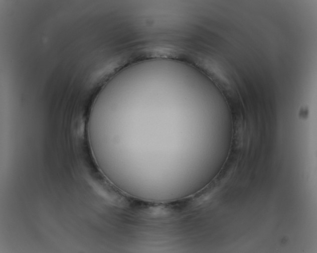 X0000092020310200709271554