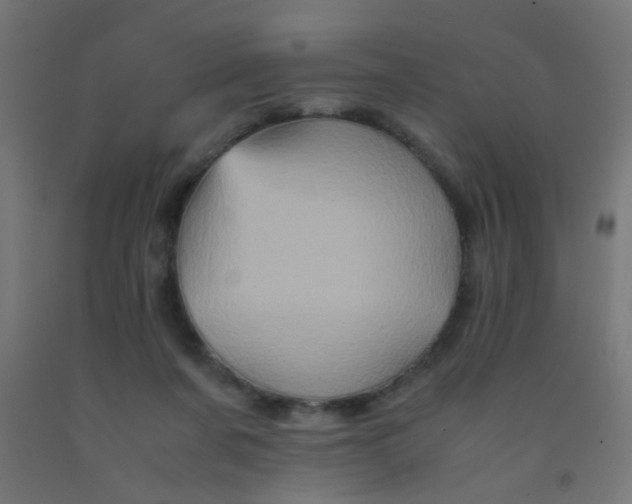 X0000092020311200709271554