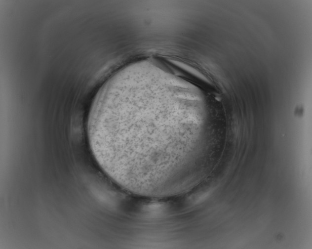 X0000092020312200709271554