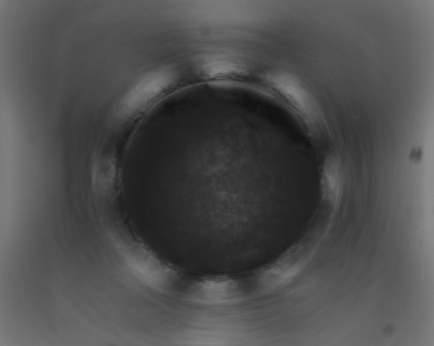 X0000092020314200709271554