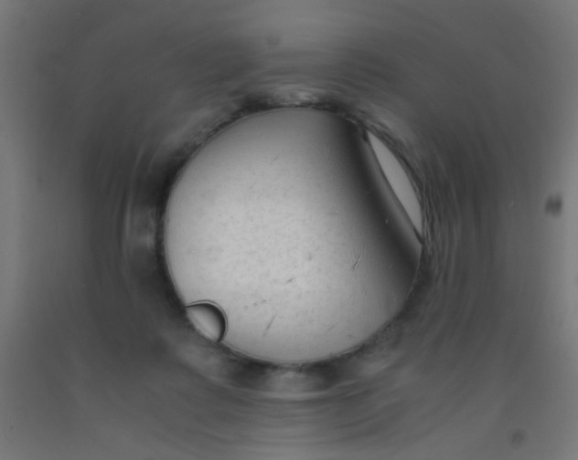 X0000092020315200709271554