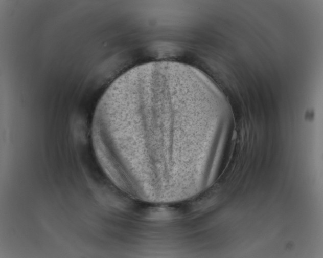 X0000092020316200709271554