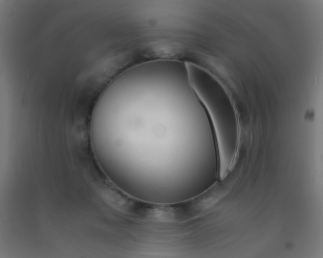 X0000092020317200709271554