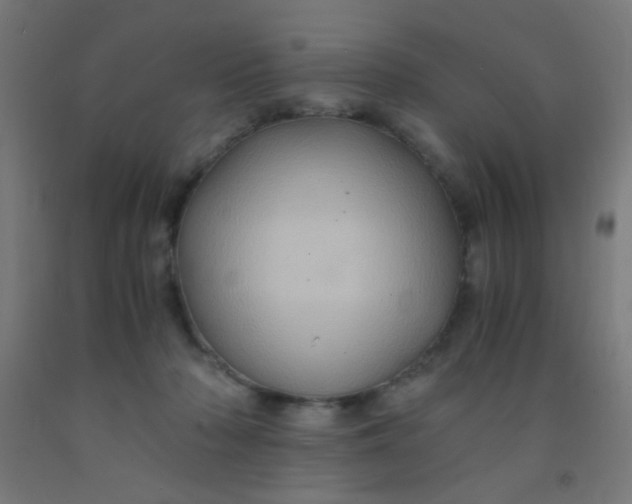 X0000092020318200709271554