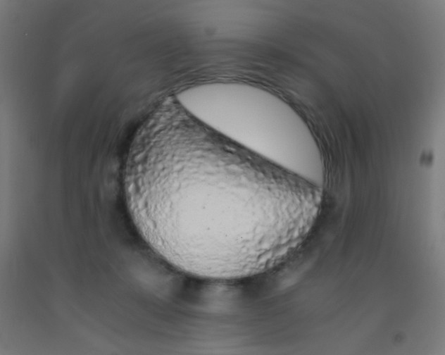 X0000092020319200709271554