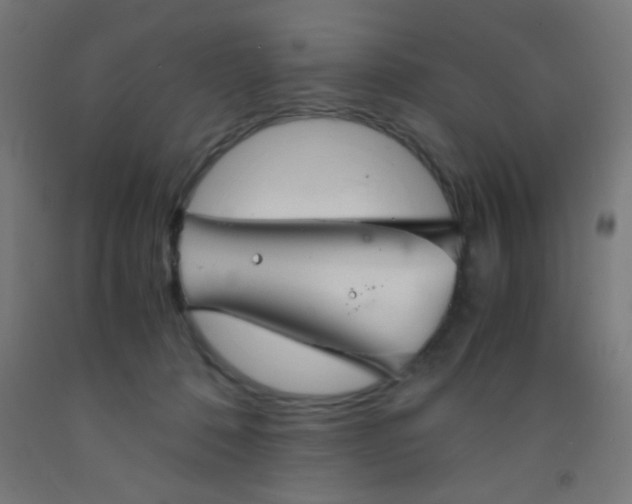 X0000092020320200709271554