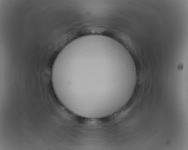 X0000092020321200709271554