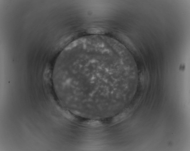 X0000092020322200709271554