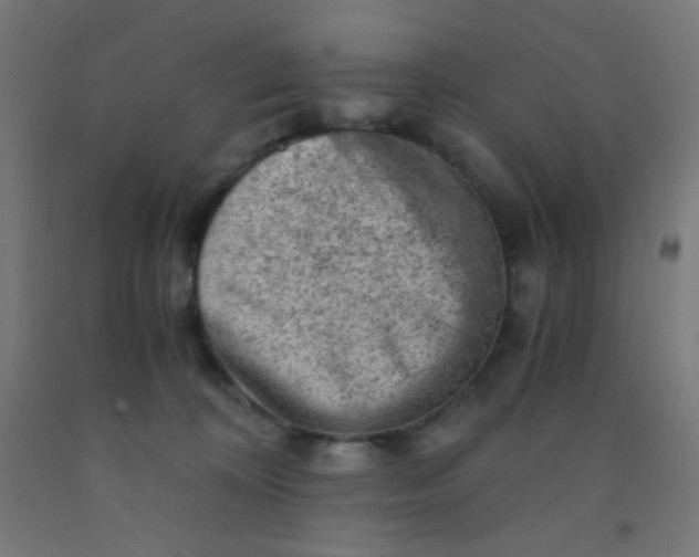 X0000092020324200709271554