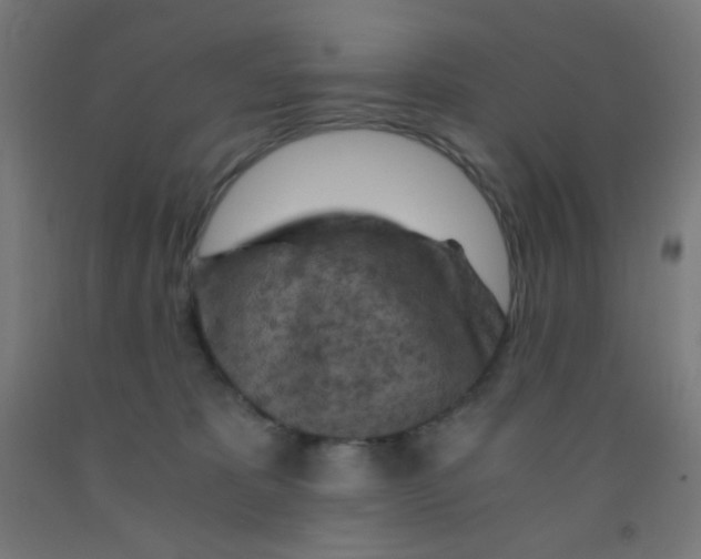 X0000092020325200709271554