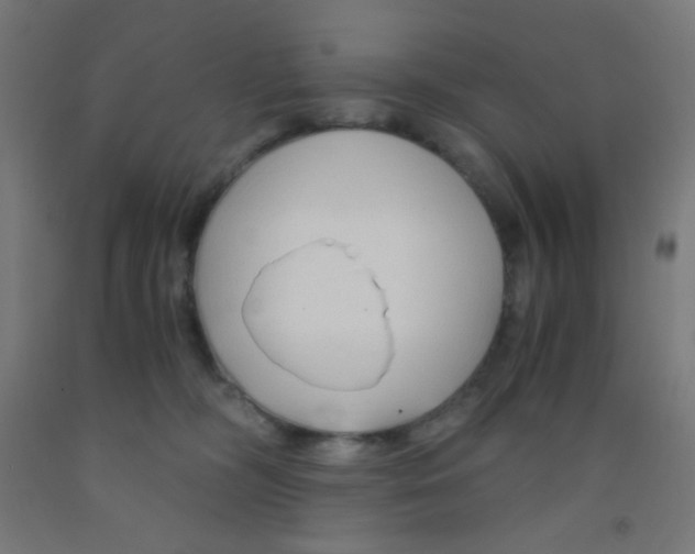 X0000092020326200709271554