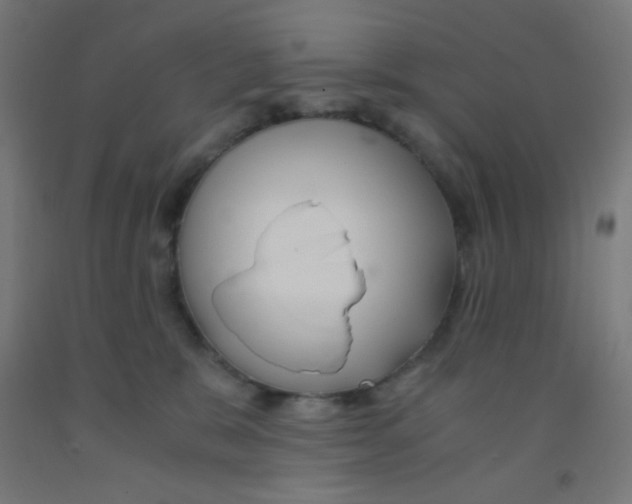 X0000092020327200709271554